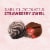 Dove Promises Dark Chocolate & Strawberry Swirl Valentine's Day Candy Bag Perspective: left