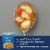 Progresso Traditional Chicken & Herb Dumplings Soup Perspective: left