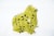 The Joy of Gardening Solar Ceramic Frog Perspective: left