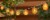 HD Designs Outdoors Fruit String Lights Perspective: left