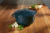 Dash of That Dutch Oven - Blue Perspective: left