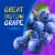 Kroger® Children's Loratadine 24 Hour Non-Drowsy Indoor & Outdoor Allergy Relief Grape Flavor Liquid Perspective: left
