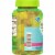 Kroger® Prenatal Multivitamin Gummies Perspective: left