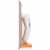 Kroger® Touch Free Infrared Thermometer Perspective: left