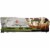 Pine Mountain Classic 2-Hour Fire Log 500-160-801 Pack of 6 Perspective: left