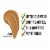 Maybelline Super Stay Liquid Foundation Longwear 340 Cappuccino Perspective: left