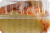 Ralphs Vanilla Pudding Cake Slice Perspective: left