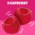 Jell-O Raspberry Artificially Flavored Gelatin Dessert Mix, Box Perspective: left