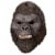Playmates Toys Godzilla x Kong Movie Role Play Mask Perspective: left