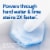 Clorox ToiletWand Disinfecting Scrubbing Pads Toilet Cleaning Refills Perspective: left