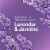Clorox Scentiva Disinfecting Multi-Surface Cleaner Lavender and Jasmine Perspective: left