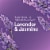 Clorox Scentiva Lavender and Jasmine Scented Bleach Perspective: left