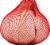 Melissa'a Elephant Garlic Bulb Perspective: left