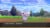 Pokemon Shield (Nintendo Switch) Perspective: left