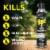 Raid Wasp & Hornet Insect Killer Perspective: left