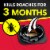 Raid Double Control Large Roach Baits, 8 Count Perspective: left