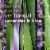 Glade® Tranquil Lavender & Aloe Scented Oil PlugIn Refills Perspective: left