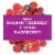 Glade Vibrant 2-In-1 Radiant Berries® + Wild Raspberry Candles Perspective: left