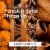 Glade® Pumpkin Spice Things Up Candle Perspective: left