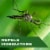 STEM Repels Mosquitoes: Mosquito Repellent Spray with Botanical Extracts; 4 fl oz 1 ct Perspective: left