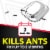 Raid® Ant Baits Perspective: left
