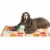 Manhattan Pet Toy Squeaks-A-Lot Scout Squirrel Sherpa-Style Soft Squeaker Dog Toy Perspective: left