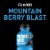 Powerade® Blue Mountain Berry Blast Sports Drink Bottle Perspective: left