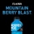 Powerade Blueberry Added Electrolyte & Vitamin Fruit Flavor Sports Drink Perspective: left