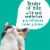 Purina Friskies Cat Food Complement, Lil’ Slurprises With Surimi Whitefish Perspective: left