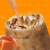 Coffee mate Caramel Flavored Iced Coffee Non-Dairy Cold Coffee Ready to Drink Perspective: left