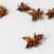 McCormick® Pure Anise Extract Perspective: left