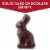 Fannie May, Solid Dark Chocolate Bunny Perspective: left
