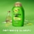 OGX Clarifying Strength + Rosemary Mint Conditioner, Sulfate-Free Surfactants Perspective: left