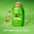 OGX Clarifying Strength + Rosemary Mint Conditioner Sulfate-Free Surfactants Perspective: left