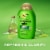 OGX Clarifying Strength + Rosemary Mint Shampoo, Visibly Helps Remove Oil, Sulfate-Free Surfactants Perspective: left