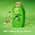 OGX Clarifying Strength + Rosemary Mint Shampoo Visibly Helps Remove Oil Sulfate-Free Surfactants Perspective: left