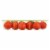 Sunset® Red Tomatoes on the Vine Perspective: left