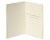 Papyrus Gold Glitter Christmas Tree Boxed Holiday Cards Perspective: left