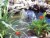 Koolscape 84-Gallon Pond Kit Perspective: left