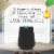 Air Wick Essential Mist Refill Vanilla and Pink Papaya Essential Oils Diffuser Air Freshener Perspective: left