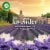 Air Wick Vibrant Scented Oil Refill, Plug In Air Freshener, Lavender and Waterlily, 2 refills Perspective: left