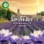 Air Wick Vibrant Scented Oil Refill, Plug In Air Freshener, Lavender and Waterlily, 2 refills Perspective: left