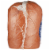 Farmland Hickory Smoked Ham & Water Product (Limit 2 at Sale Retail) Perspective: left