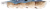 Usinger's™ Cooked Bratwurst Perspective: left