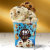 Halo Top Chocolate Chip Cookie Dough Light Ice Cream Perspective: left
