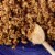 Zatarain's Red Beans & Rice Dinner Mix Perspective: left