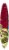 Dole® Bacon & Bleu Chopped Salad Kit Perspective: left