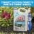Ortho GroundClear Super 1 Gal. Weed & Grass Killer with Comfort Wand 4652705 Perspective: left