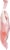 Jelly Belly® Cotton Candy Perspective: left