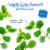 Bigelow® Peppermint Herbal Tea Bags Perspective: left